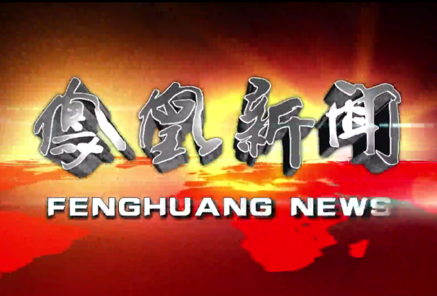 州专家组调研指导凤凰县创国卫工作
