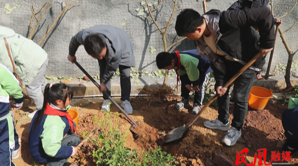 箭道坪第一小学开展“我与小树共成长”校园植树活动