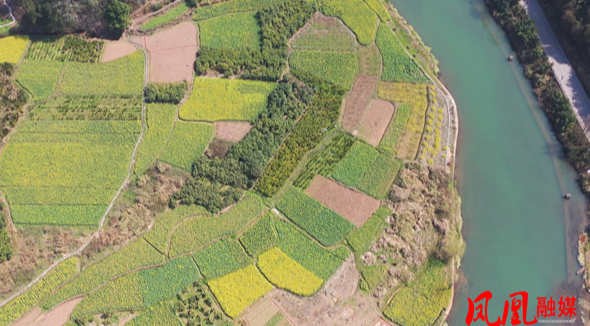 沱江镇龙潭村：春光正当时 油菜花海装扮美丽乡村