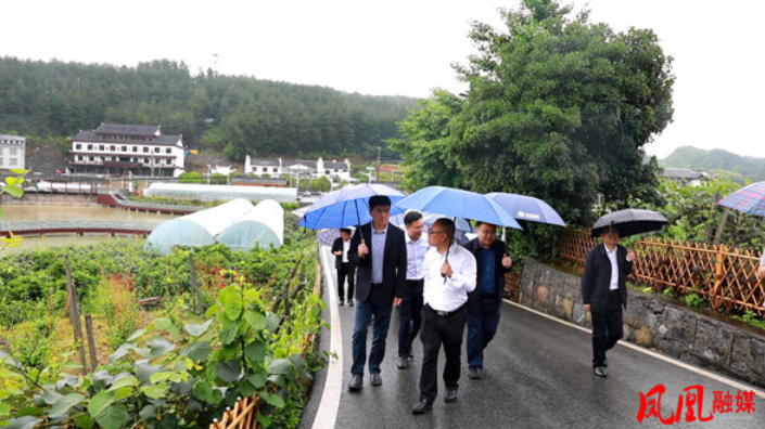 凤凰县召开“菖蒲塘村”品牌保护维权调研座谈会