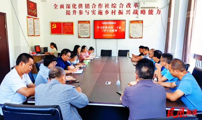 凤凰县供销联社深入学习贯彻党的二十届三中全会精神