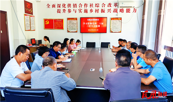 图片11.png