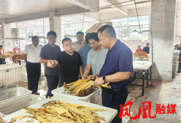 欧万海深入禾库等乡镇调研烟叶收购工作