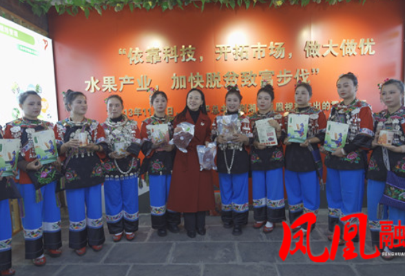 凤凰县首届黄心猕猴桃节暨科技农业振兴峰会圆满举行