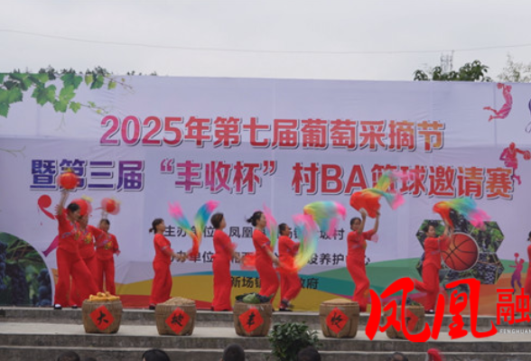 凤凰县大坡村举办葡萄采摘节暨“村BA”篮球赛 欢歌笑语庆丰收
