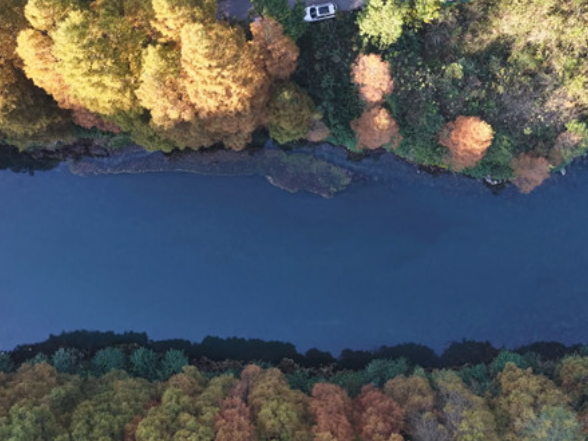 凤凰县长潭岗水利风景区:层林尽染冬日暖 多彩水杉醉游人