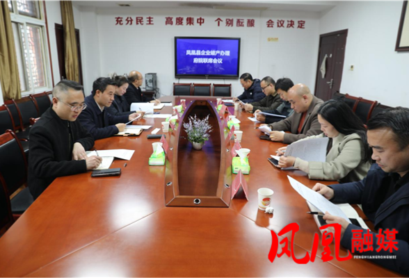 凤凰县召开企业破产办理府院联席会议