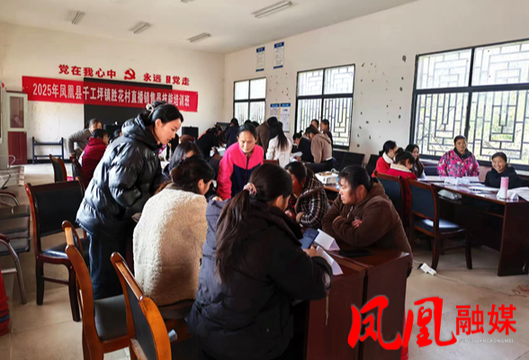 凤凰县千工坪镇胜花村开展直播销售员技能培训