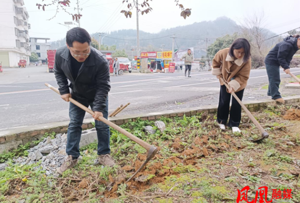 凤凰县就业服务中心开展植树绿化活动