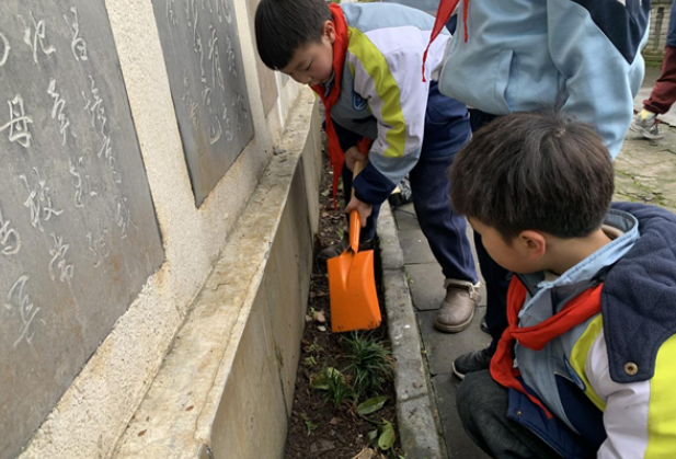 凤凰县文昌阁小学：栽下希望苗 绘就生态卷