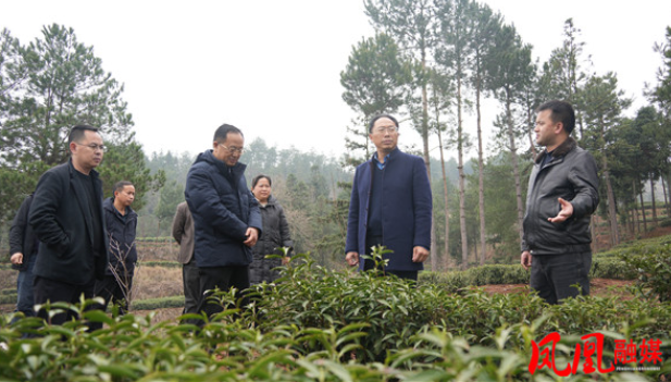 毛家调研菖蒲塘“和美共富”片区建设工作时强调：擦亮和美底色 增进共富成色