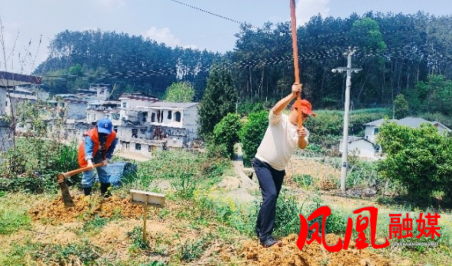 凤凰县廖家桥学区：党员躬耕实践田  共植希望新“蔬”光