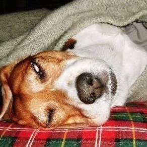 微信图片_20250425172754.jpg 微信图片_20250425172754.jpg