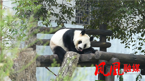 微信图片_20250425174846.png 微信图片_20250425174846.png