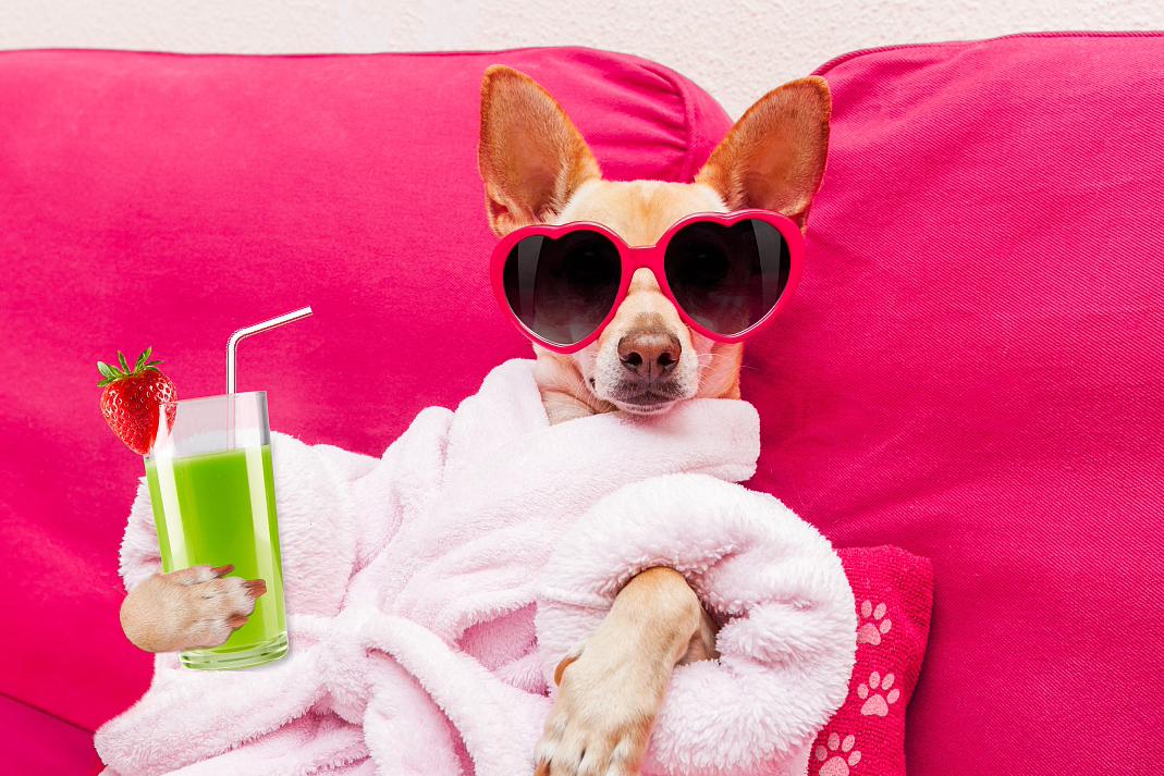 微信图片_20250425173002.jpg 微信图片_20250425173002.jpg