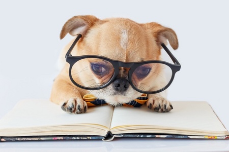 微信图片_20250425172750.jpg 微信图片_20250425172750.jpg