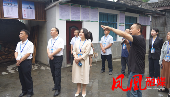 凤凰县政协实地调研特色食品产业发展情况   为县域经济发展聚智赋能