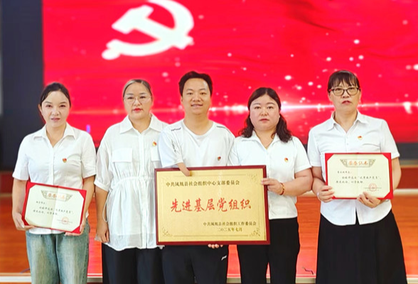喜报！凤凰县山那边公益协会党支部荣获全县“先进基层党组织”称号