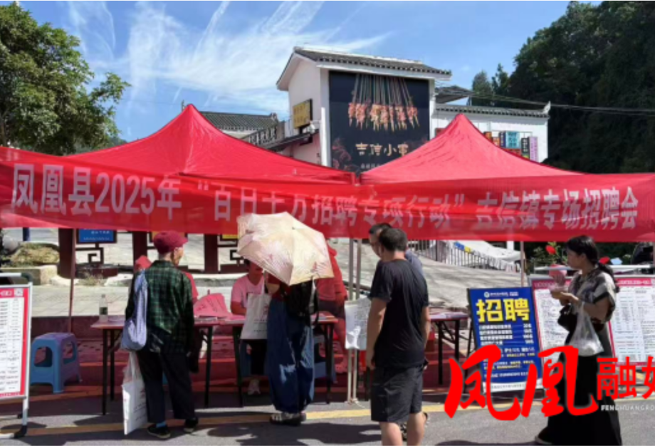 凤凰县人社局：架起就业连心桥 激活发展新动能