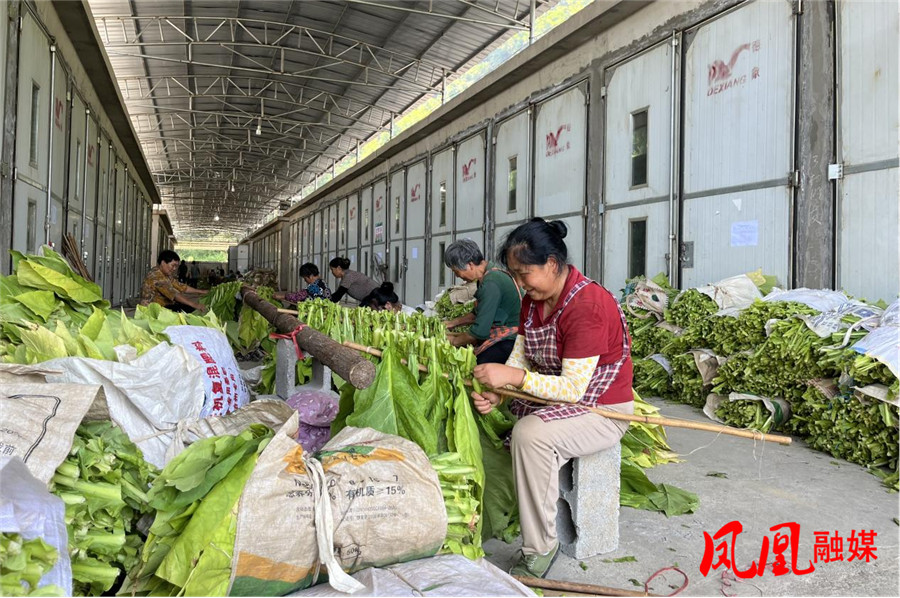 烘烤场点内烟农正分类编竿.jpg