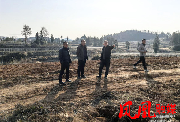 凤凰县：烟田翻耕绘就民族团结进步新图景