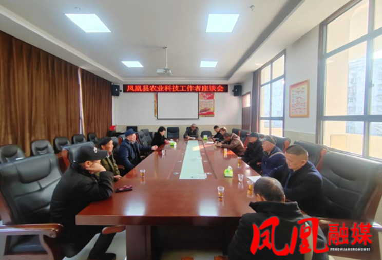 凤凰县：科技赋能谋发展  擘画猕猴新蓝图