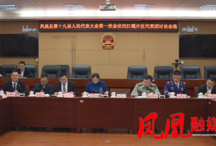 易美霞参加沱江镇片区代表团审议讨论:凝心聚智绘蓝图 笃行实干启新程