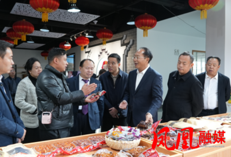 新春开新局 马年添马力：毛家率四大家领导调研“五好”园区建设工作