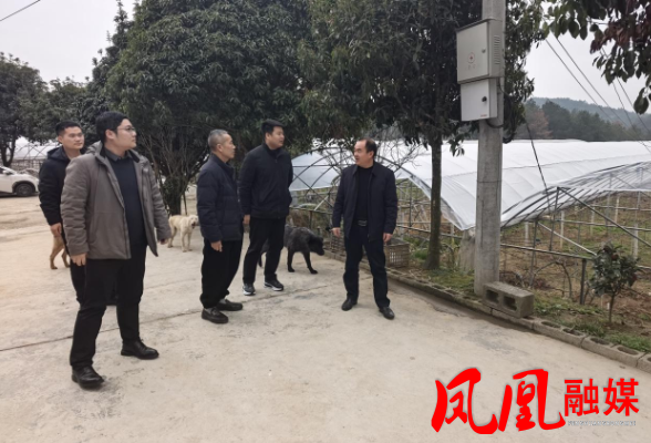 凤凰县落潮井镇：走访企业解诉求 护航复工启新程