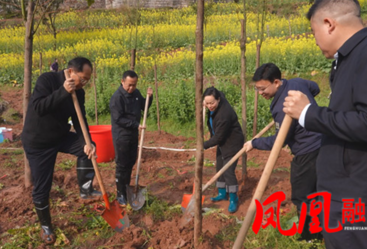 凤凰县举行2026年义务植树活动 共绘绿色发展新画卷