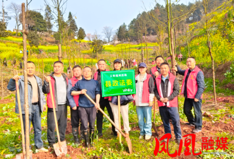 凤凰县委政法委:开展义务植树活动 添彩凤凰生态建设