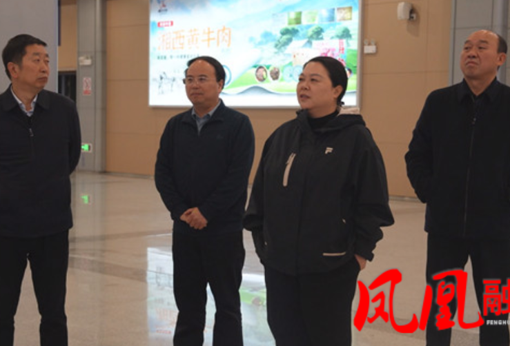 吴凌频到凤凰县调研茶叶产业发展情况