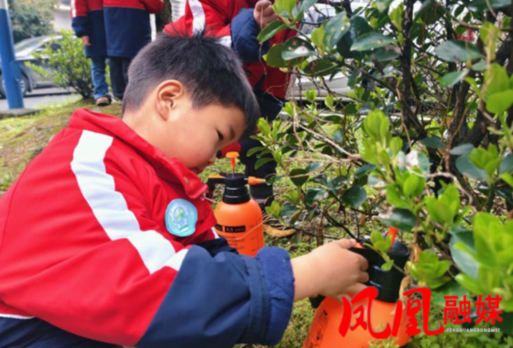 童心植绿，共赴春约——凤凰县沱江镇大坳幼儿园举行植树活动