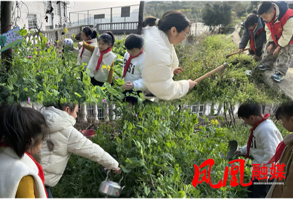 凤凰县廖家桥学区八一爱民学校开展植树节主题教育活动