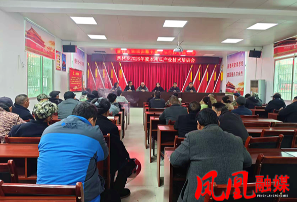 凤凰县两林乡：蜜本南瓜变“致富瓜”惠农公司送“技”到农家