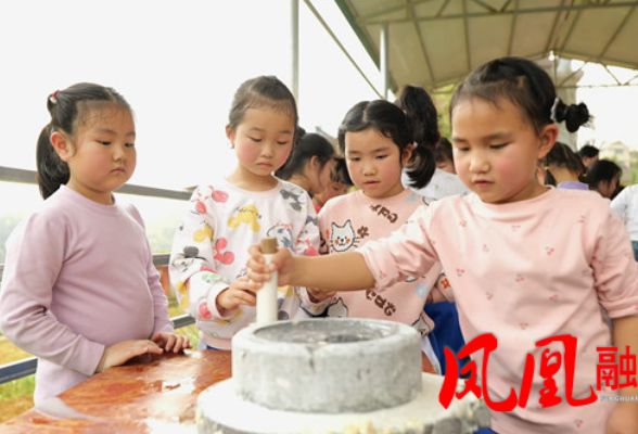 凤凰县吉信镇满家村：研学赋能农旅融合  学子田野践学启新程