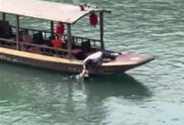 凤凰古城:危急时刻显担当 船工勇救落水儿童