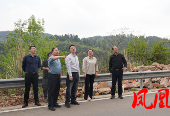 毛家带队调研矿山整治、防汛备汛、产业发展等工作
