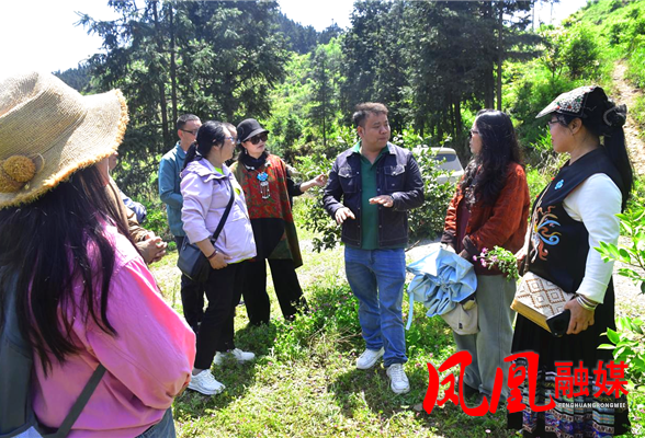 凤凰县作家协会开展2026年“文艺赋美乡村”春季采风活动
