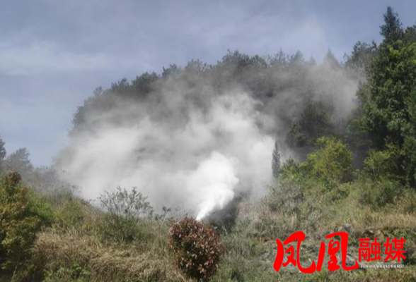 凤凰县林业局扎实开展林业有害生物防治工作