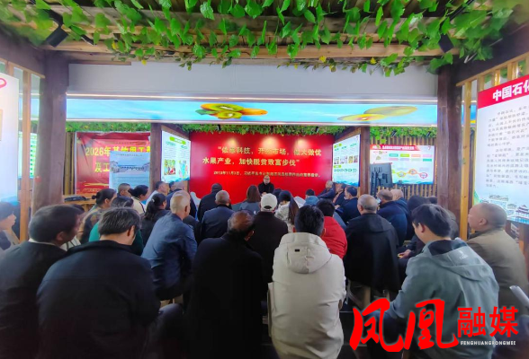 凤凰县:技传田间防软腐 果护丰收启新程