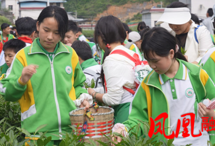 溶江小学走进凤凰苗乡手工茶研学基地开展实践活动