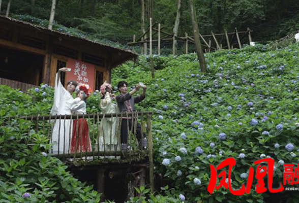 凤凰县第四届南华山神凤文化景区绣球花节开幕