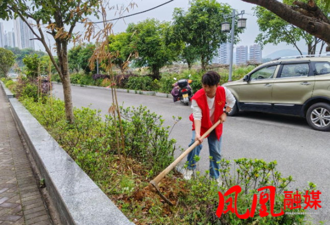 凤凰县气象局开展安置区人居环境提升行动 为和美乡村添绿增彩