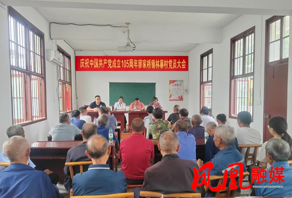 凤凰县林寨村：庆“七一”铭初心 聚合力促振兴