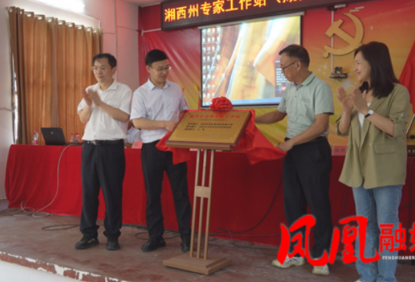 湘西州B类专家工作站落地千工坪镇 科技赋能猕猴桃产业提质增效