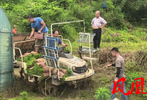 凤凰县腊尔山：铁牛闹春沃野忙 干群同心绘丰章