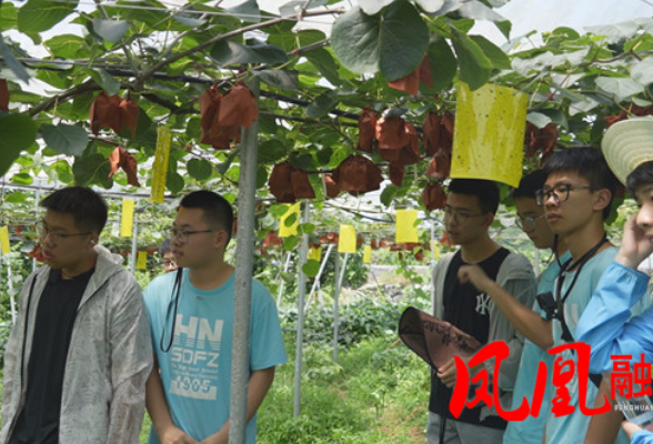 湖南师大附中学子研学走进特色产业基地 实地调研乡村振兴