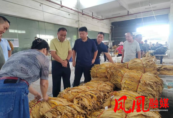 凤凰县烟叶中心赴泸溪县考察学习烟叶产业工作