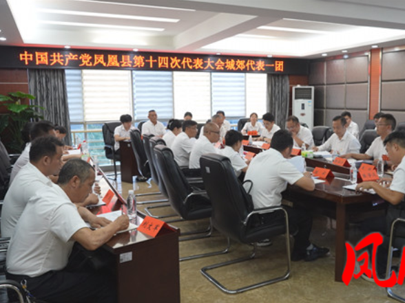 聚焦党代会|城郊代表一团、腊尔山代表团召开第一次会议